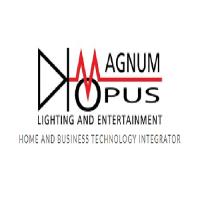Magnum Opus Digital Entertainment image 3